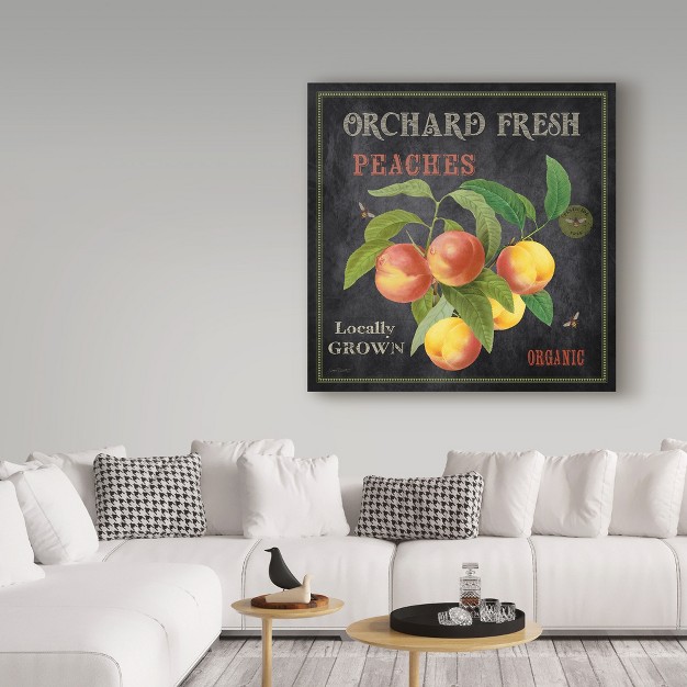 Trademark Fine Art jean Plout x27 orchard Fresh Peaches x27 Canvas Art