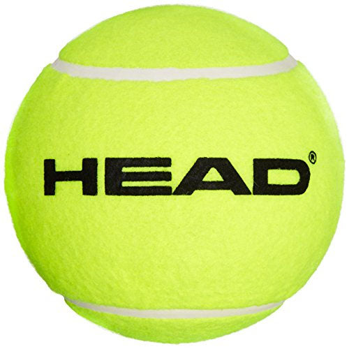 Sweatband.com Head Team Tennis Balls - 1 Dozen