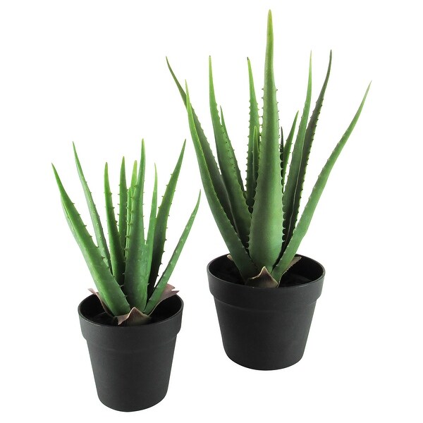 13.5in Artificial Real Touch Soft Aloe Succulent Plant in Black Pot