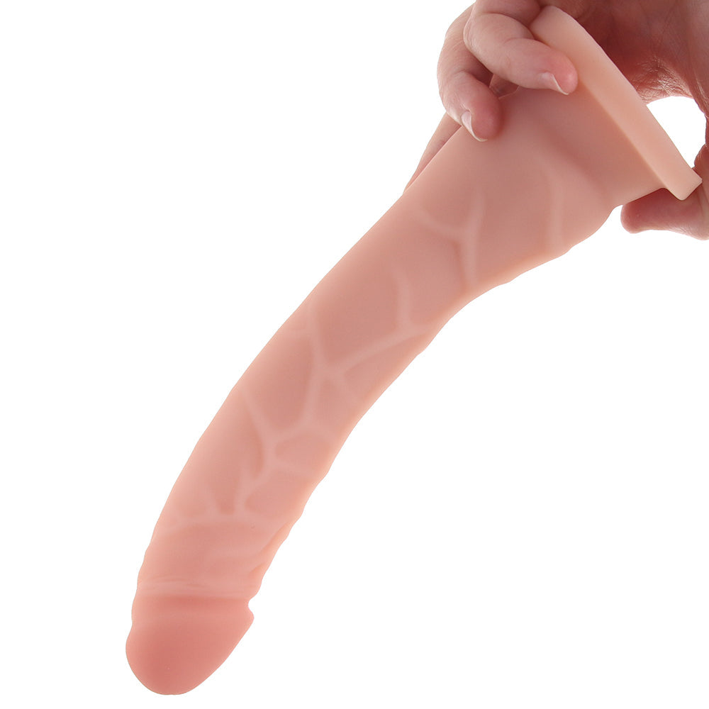 Dr. Skin Dr. Noah 8 Inch Silicone Dildo in Vanilla