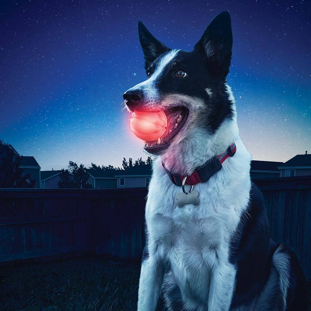 Nite Ize GlowStreak LED Red Ball Dog Toy GSB-10-R7