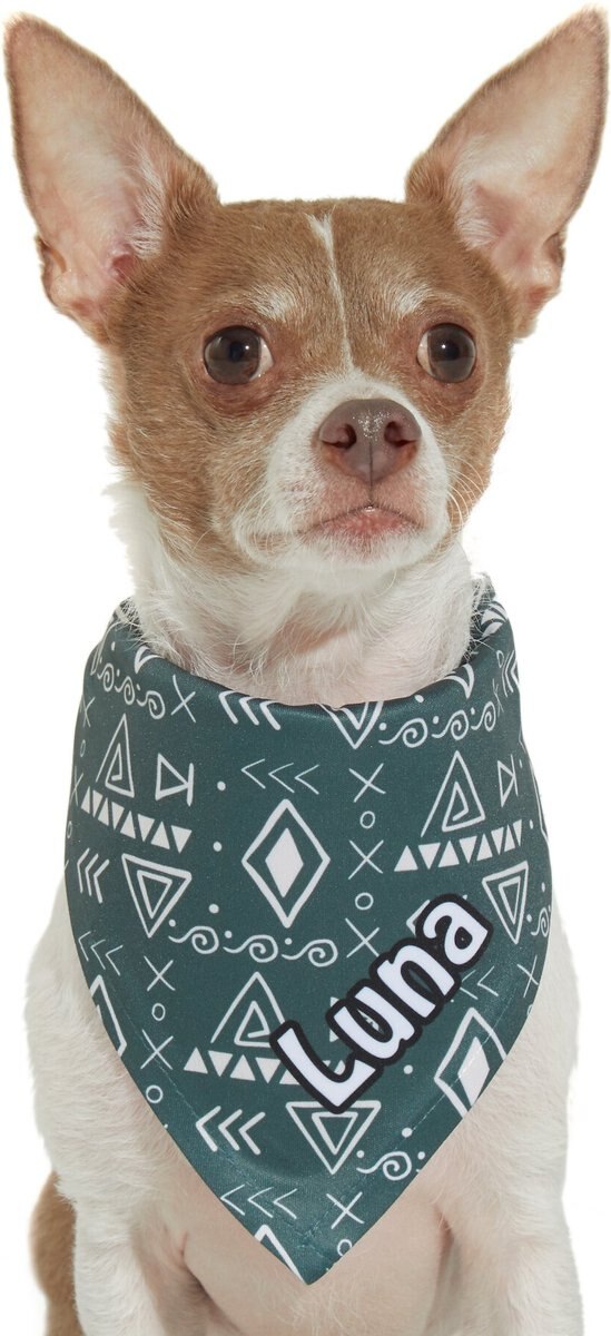 Frisco Boho Geo Personalized Dog and Cat Bandana