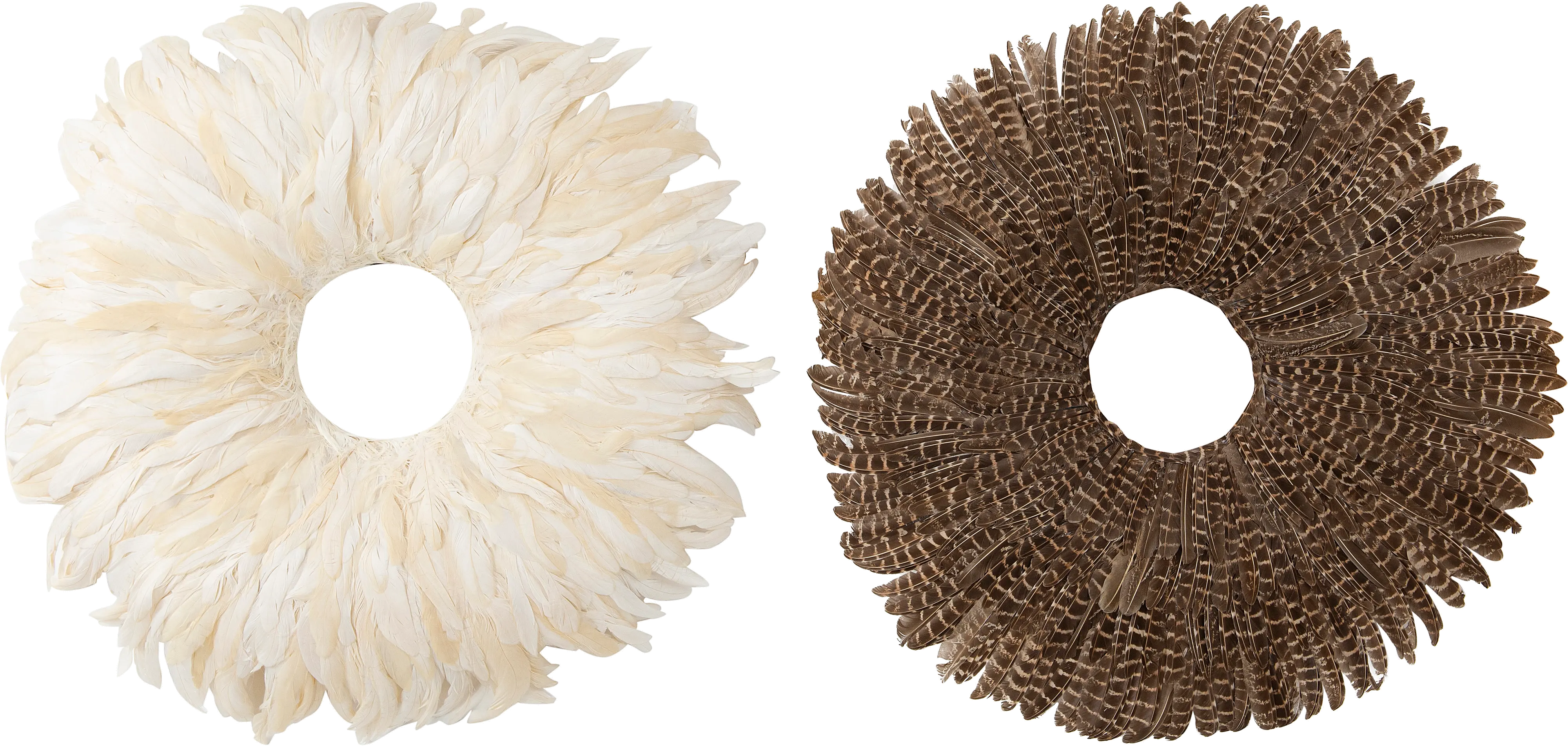 Assorted 23 Inch Round Feather Wall Decor