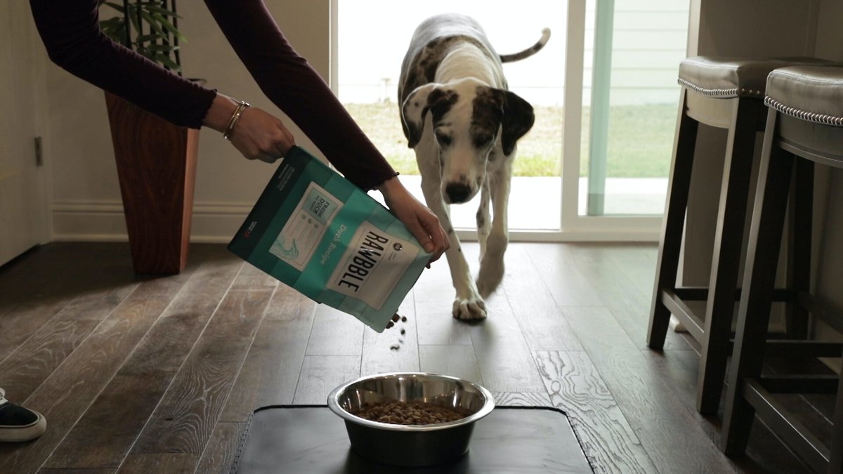 BIXBI RAWBBLE Fresh Lamb Recipe Limited Ingredient Grain-Free Dry Dog Food