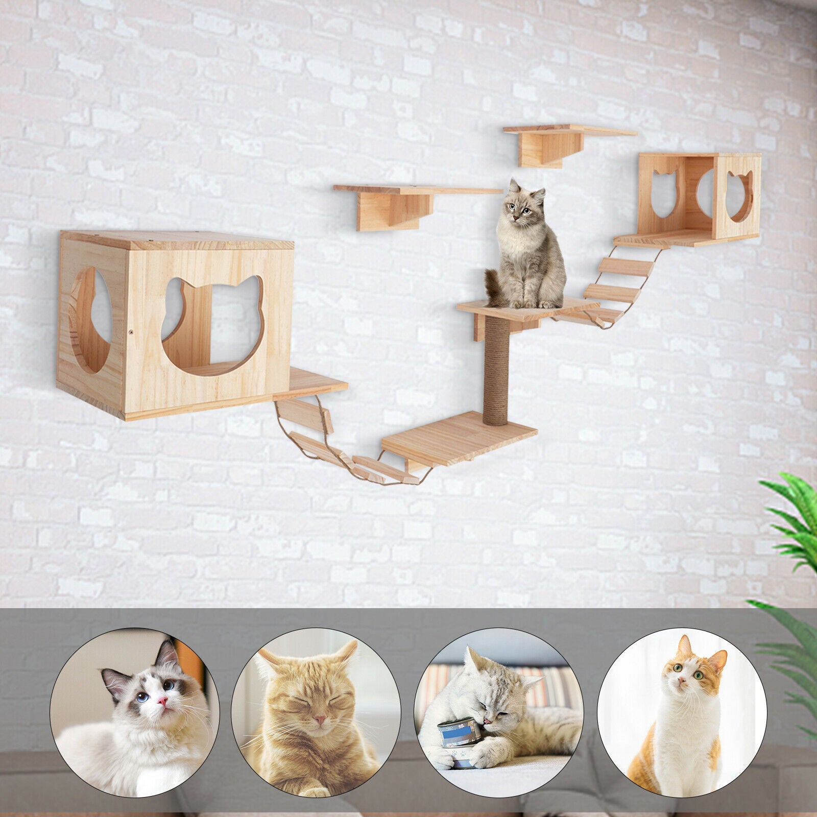 TFCFL 9PCS Cat Shelves and Perches Wall Mounted Indoor Cats Furniture Cat Wall House Set