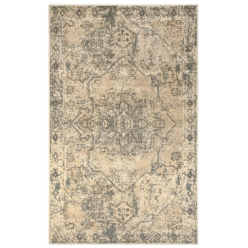 SUPERIOR Amaris Distressed Medallion Border Indoor Area Rug