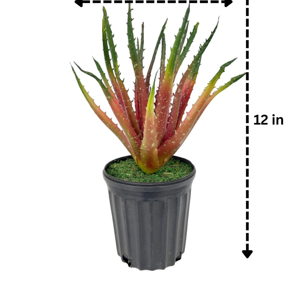 Gorgeous Artificial Aloe vera Plant in Ceramic Pot