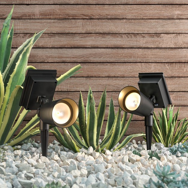 2pk Short Solar Led Outdoor Spotlights Matte Black