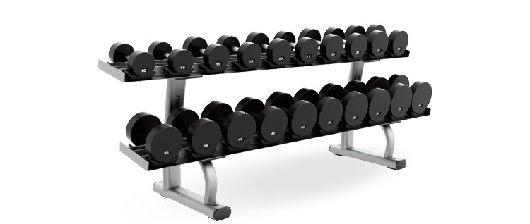 Life Fitness Two Tier Dumbbell Rack