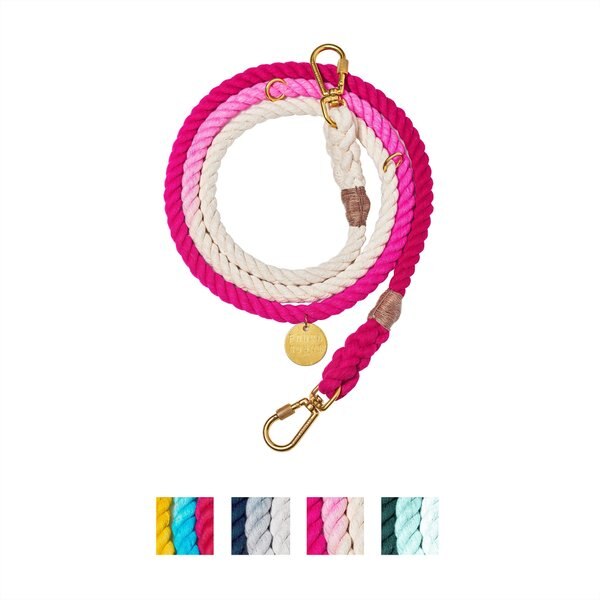 Found My Animal Adjustable Ombre Rope Dog Leash， 7-ft