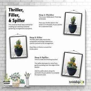 Trendspot 16 in. Matte White Cylinder Ceramic Planter CR11502N-16W