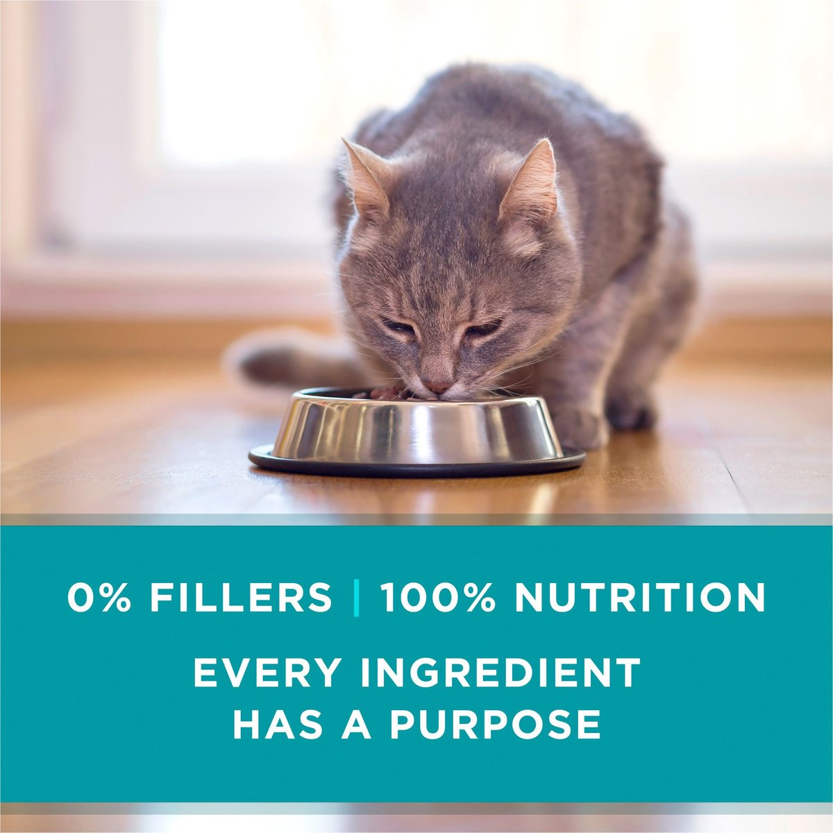 Purina ONE Natural High Protein True Instinct Chicken and Salmon Recipe in Sauce Canned Cat Food