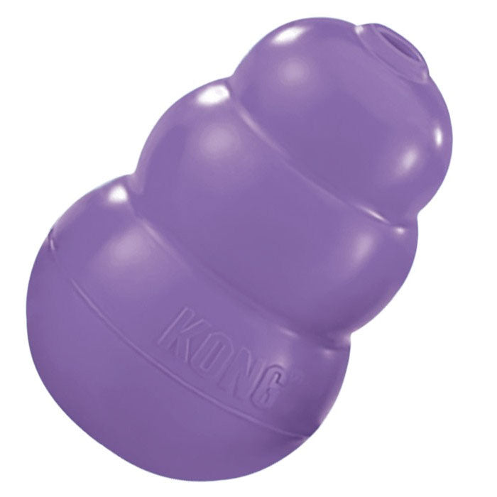 Kong Senior Dog Toy