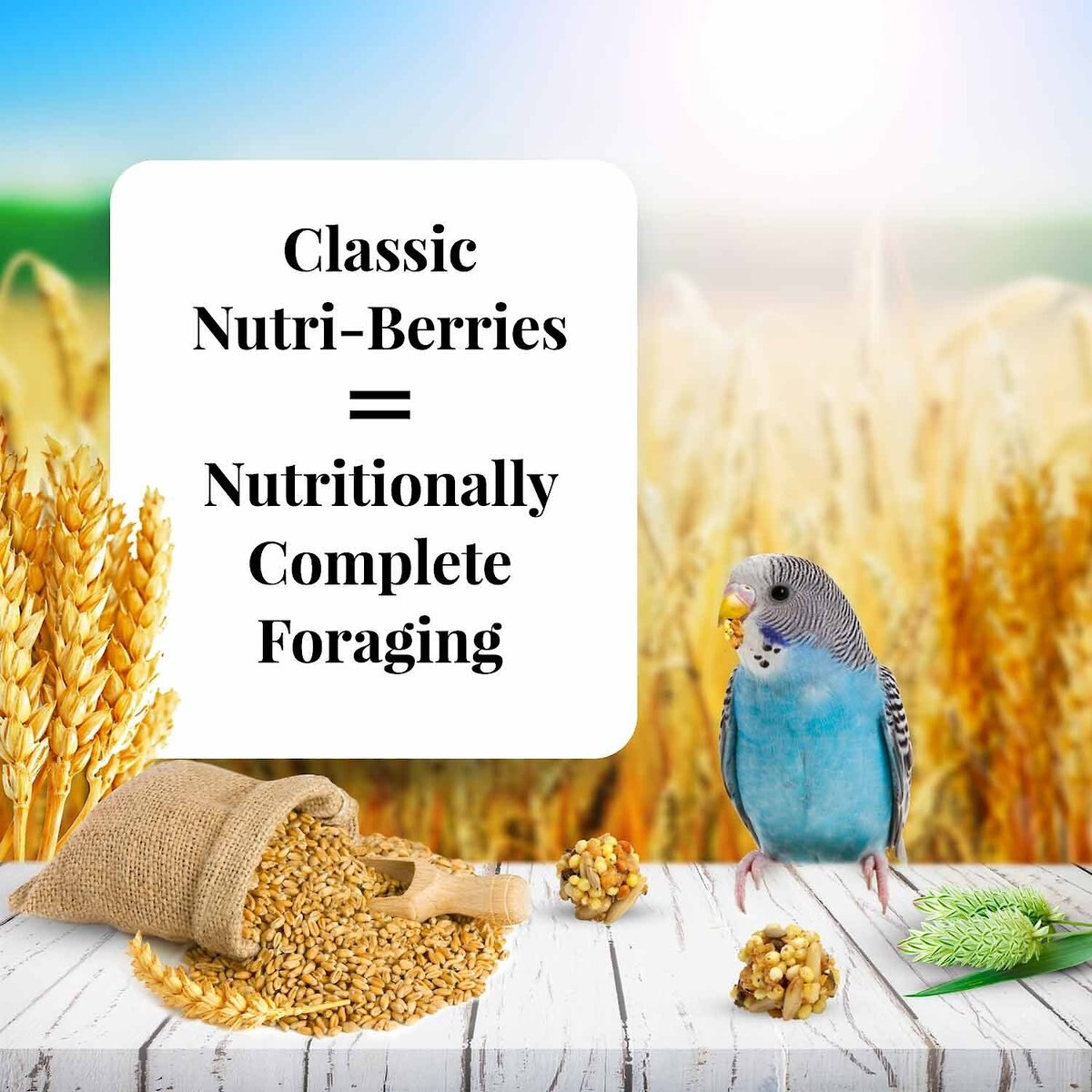 Lafeber Classic Nutri-Berries Parakeet Food