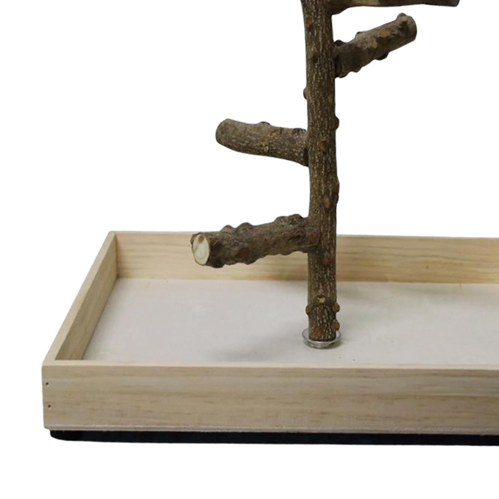 Parakeet Perch， Bird Natural Wood Stand， Parrot Wooden Branches for Standing， Toys for Small Medium Parrots Budgie - 36x36x25cm