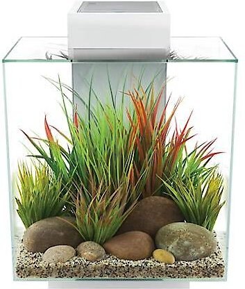 Fluval Edge 2.0 Glass Aquarium Kit