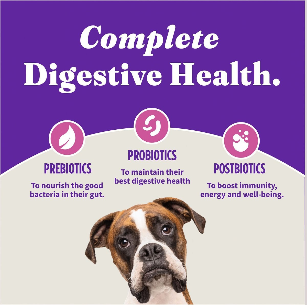 Halo Holistic Complete Digestive Health Grain Free Turkey and Sweet Potato Dog Food Recipe Adult Dry Dog Food