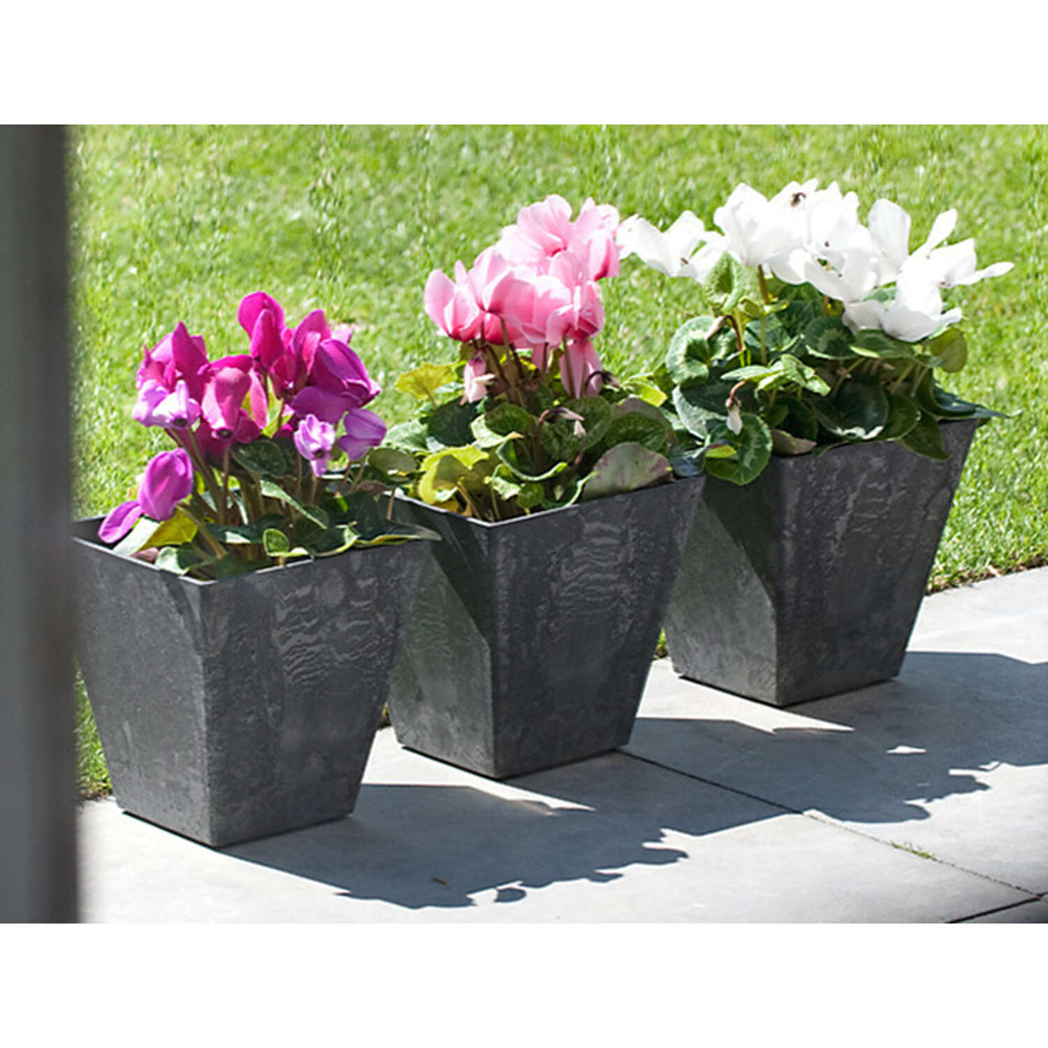 Novelty Artstone 10 in. H X 9.8 in. W X 9.8 in. D Resin Ella Planter Black