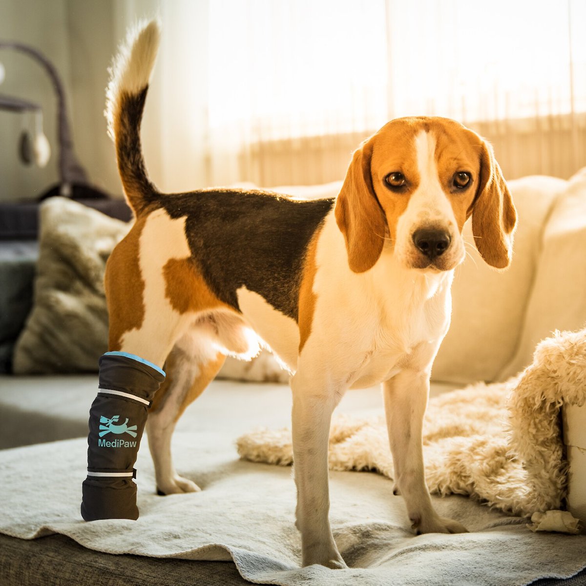 Medipaw Soft-Lined Dog and Cat Healing Boot