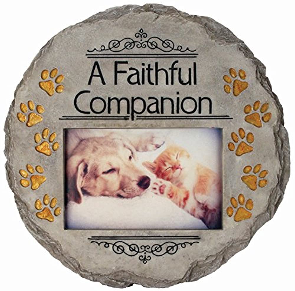 Spoontiques13275 9.63 in. Stepping Stone Faithful Companion