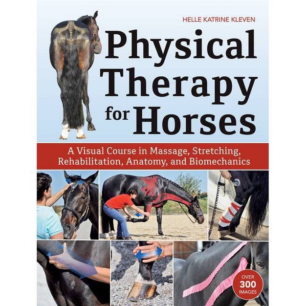 Physical Therapy For Horses By Helle Katrine Kleven hardcover