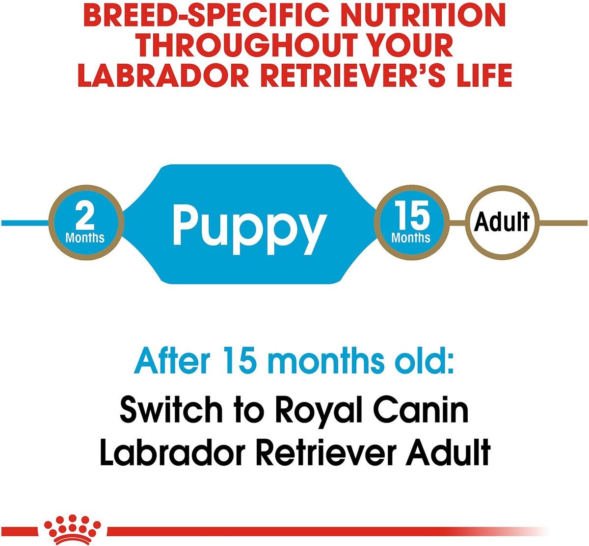 Royal Canin Breed Health Nutrition Labrador Retriever Puppy Dry Dog Food