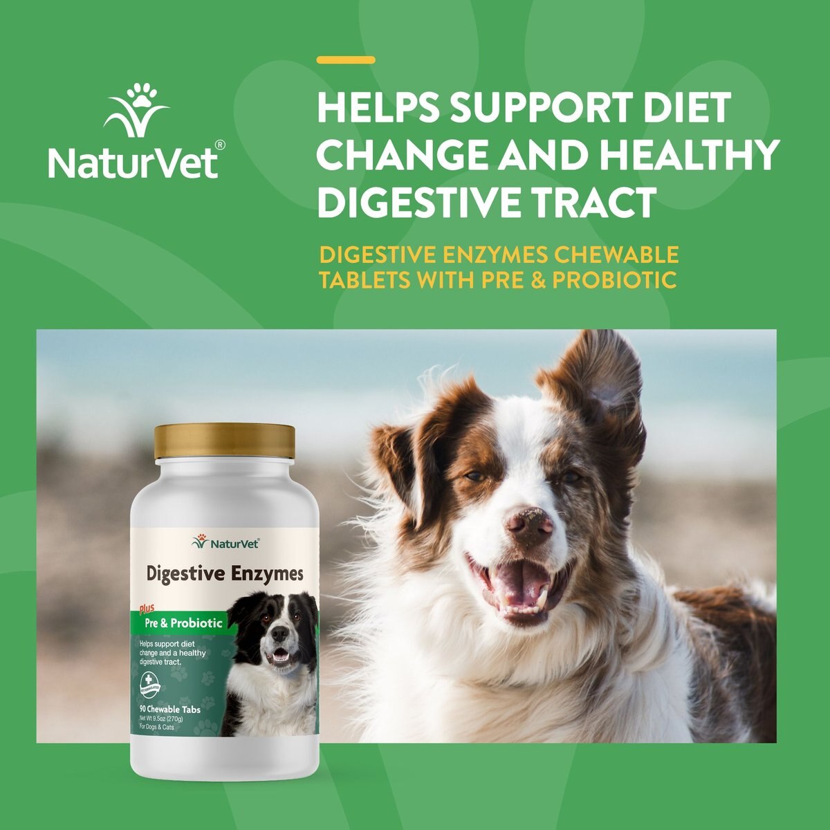 NaturVet Digestive Enzymes Plus Probiotic Chewable Tablets Digestive Supplement for Cats and Dogs