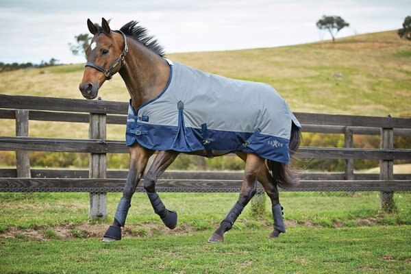 Saxon 210D With Gusset Standard Neck Lite II Horse Blanket