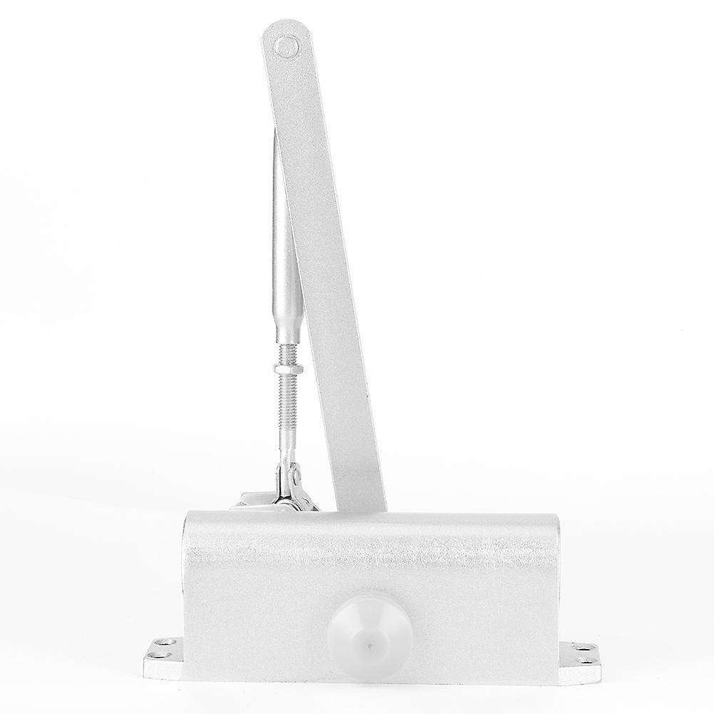 Modern Automatic Adjustable Hydraulic Buffer Fire Door Closer Positioning Doors Controllerm 65kg