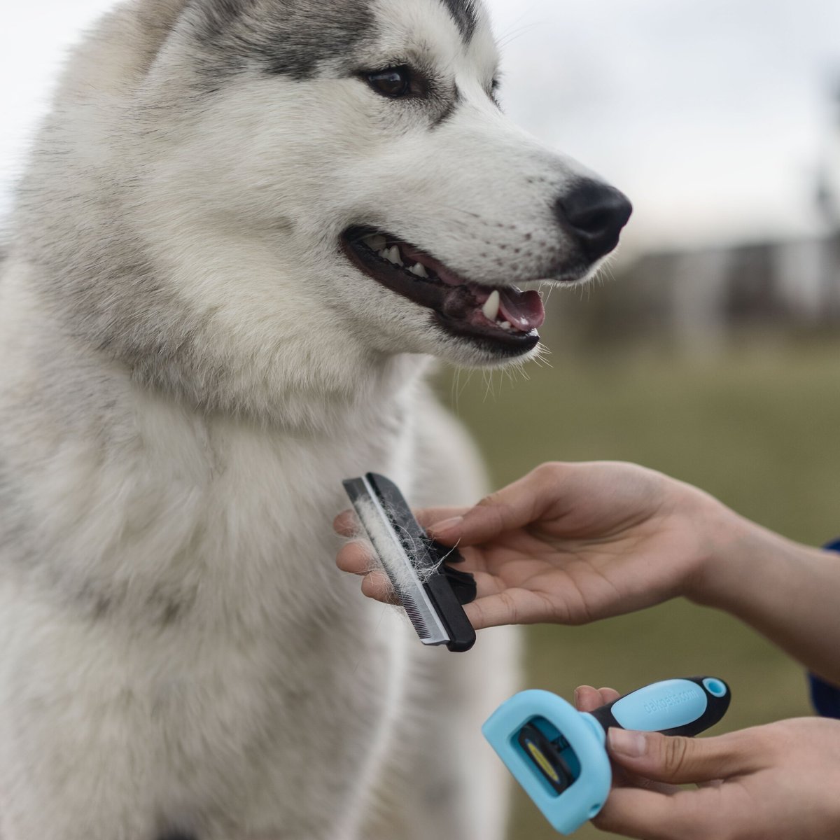 Dakpets FURblaster Deshedding and Light Trimming Tool for Long and Short Hair Dogs and Cats