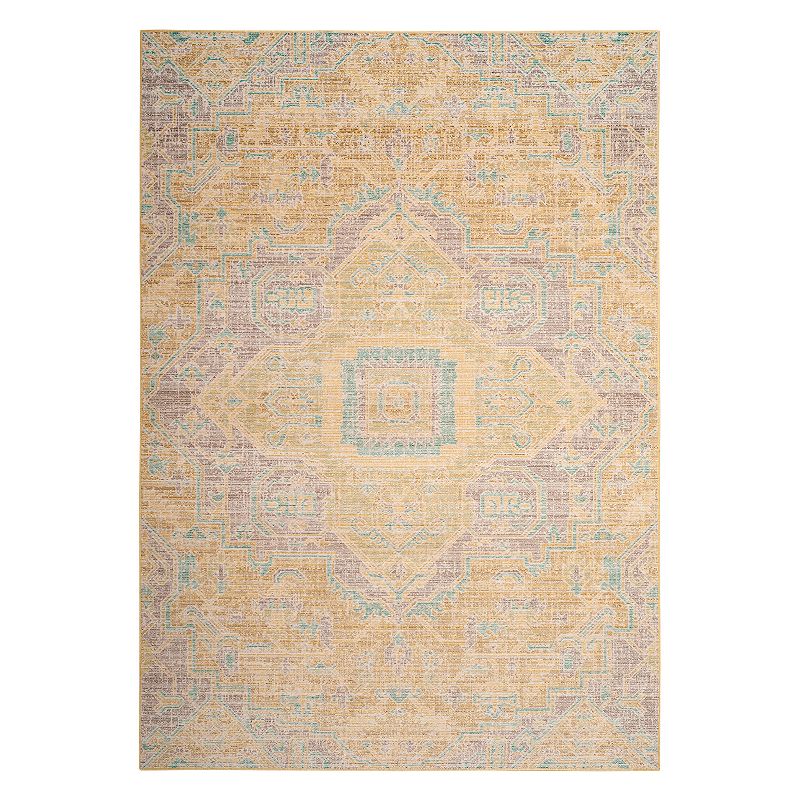 Safavieh Windsor Aiden Framed Medallion Rug