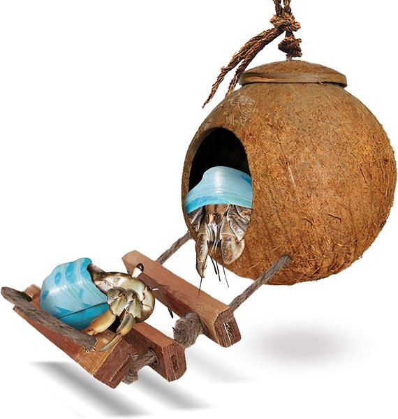 SunGrow Hermit Crab Coconut Climbing Habitat and Hideaway Cage w/ Ladder， Natural