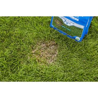 Scotts PatchMaster 4.75 lbs. Lawn Repair Mix Sun + Shade Mix Combination Grass Seed Fertilizer and Mulch 14905-1