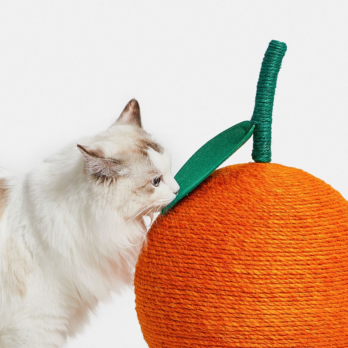 VETRESKA Tangerine Scratching Ball Cat Toy