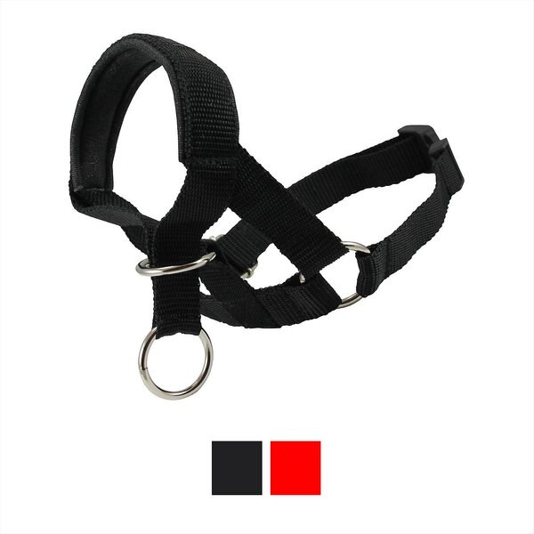 Dogs My Love Nylon Dog Headcollar