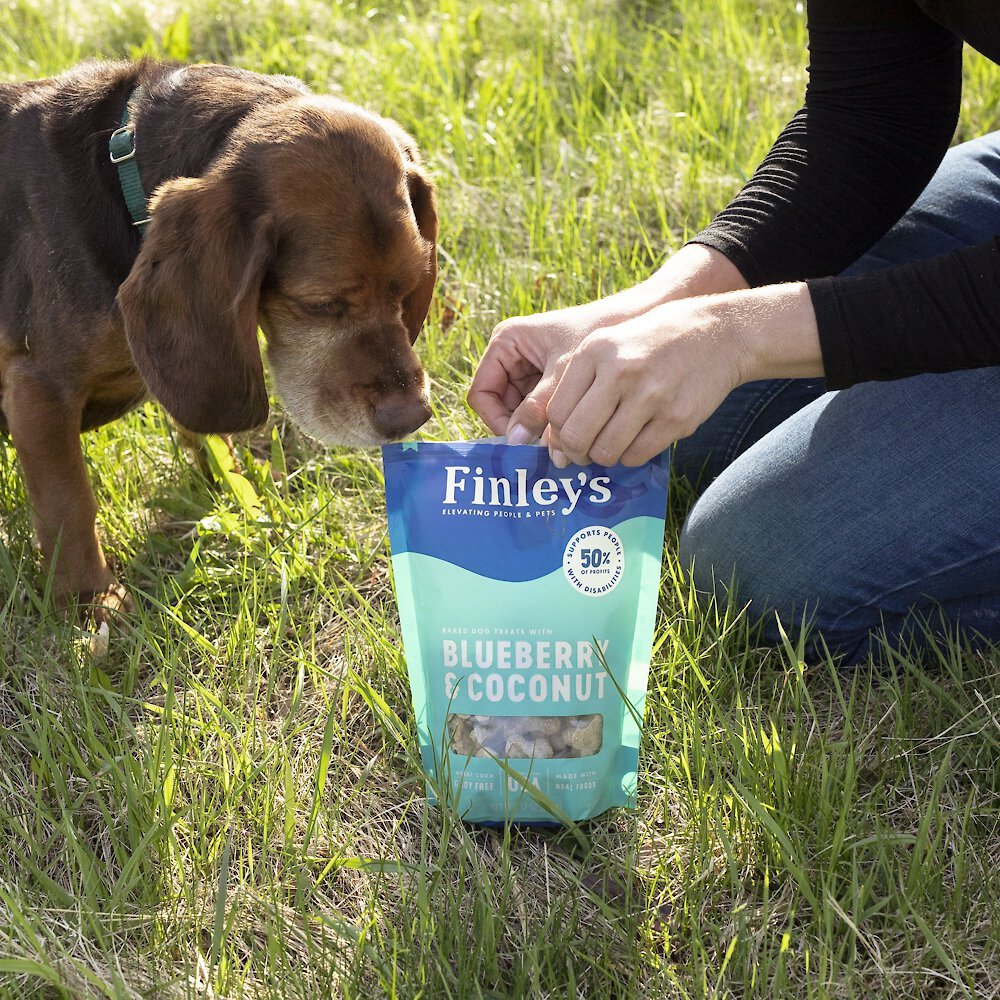 Finley's Barkery Wheat-Free Blueberry and Coconut Crunchy Biscuit Dog Treats