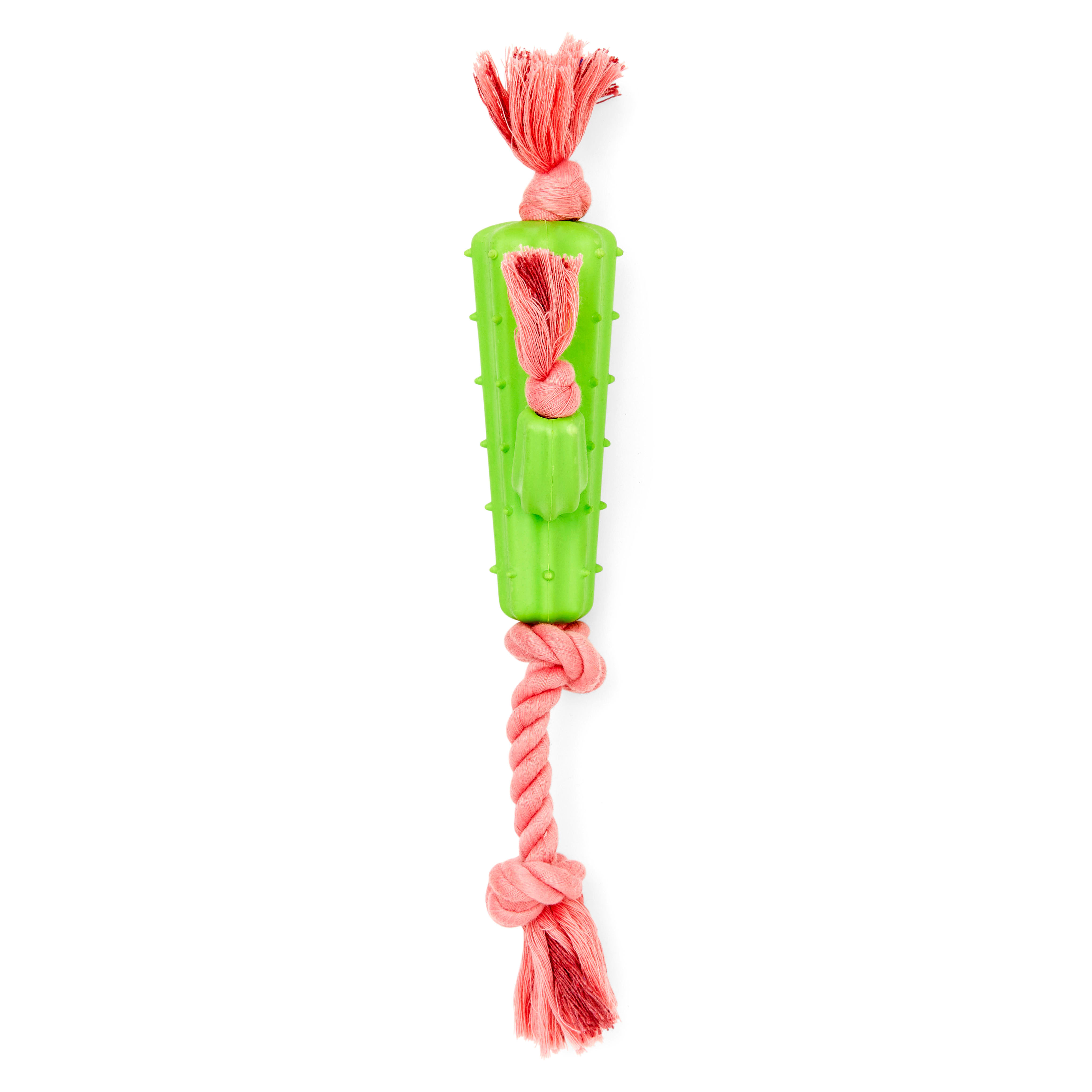 Leaps  Bounds Rubber Cactus  Rope Dog Toy， Large