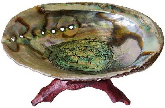 AzureGreen IBABAS 5  6 Abalone Shell incense bur...