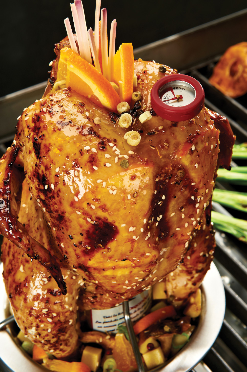 Stainless Steel Chicken Roaster