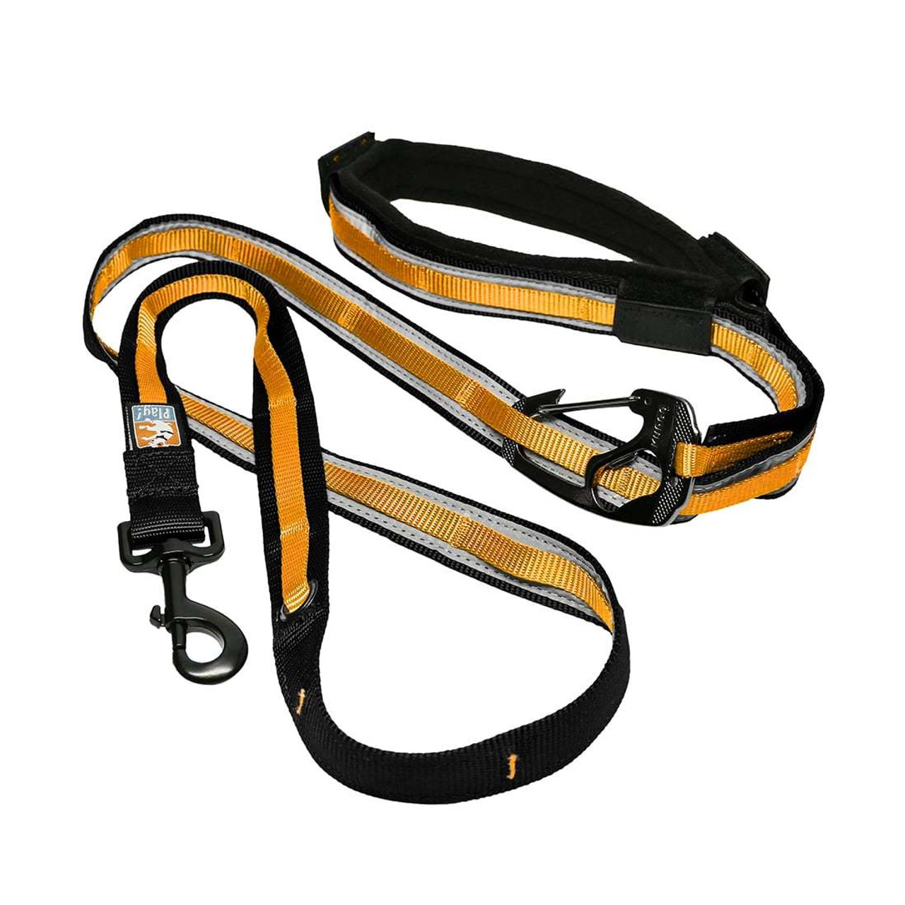 Kurgo Quantum 6-In-1 Dog Leash