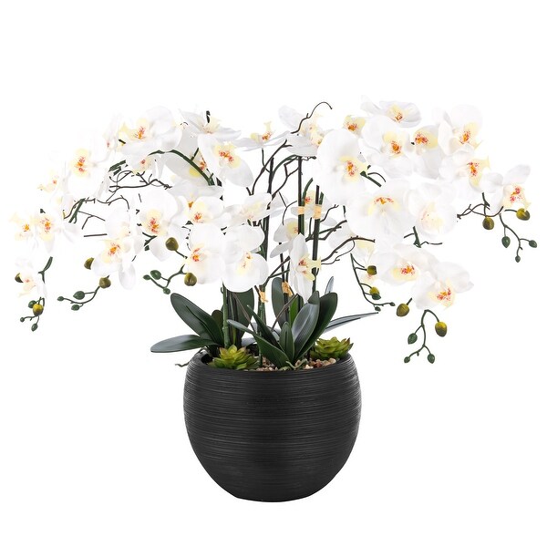 9 Stems Nearly Natural White Phalaenopsis Orchids with Succulents in White Magnesium Oxide Pot