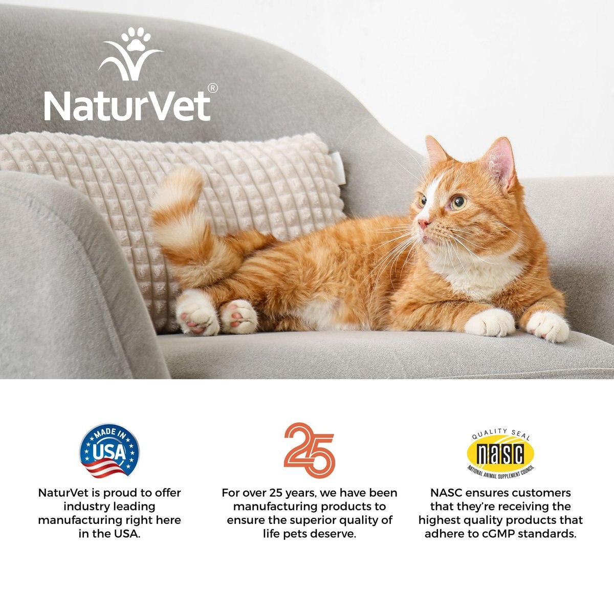 NaturVet Digestive Enzymes Plus Probiotic Soft Chews Digestive Supplement for Cats