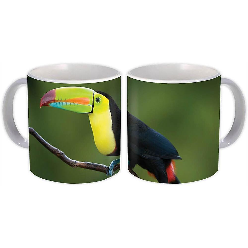 Gift Mug: Toucan Nature