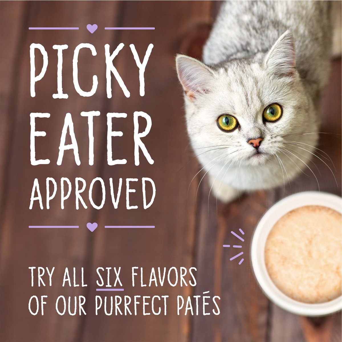 Stella and Chewy's Purrfect Pate Chicken and Salmon Flavored Pate Wet Cat Food