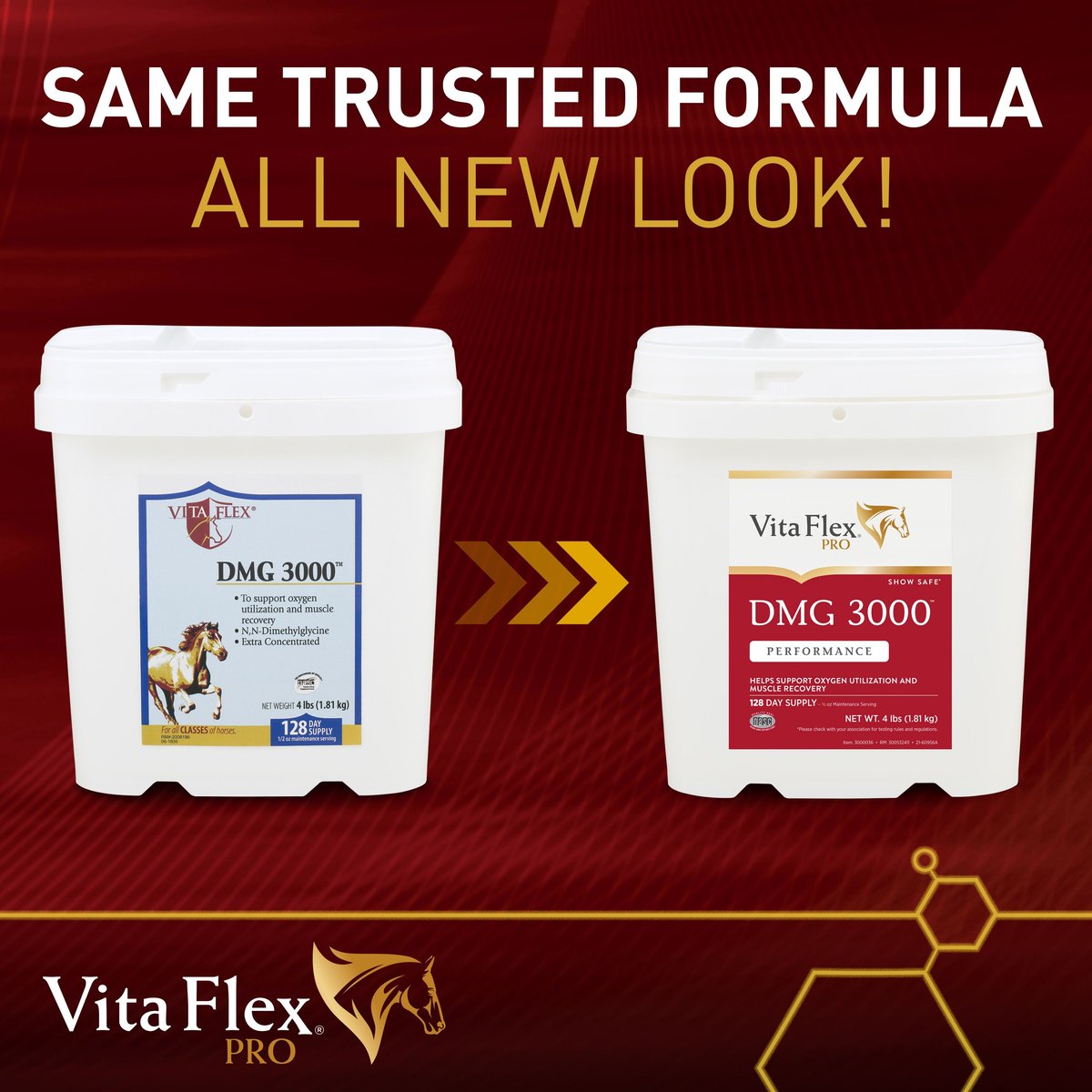 Vita Flex Pro DMG 3000 DMG Concentrate Horse Supplement， 4-lb bag