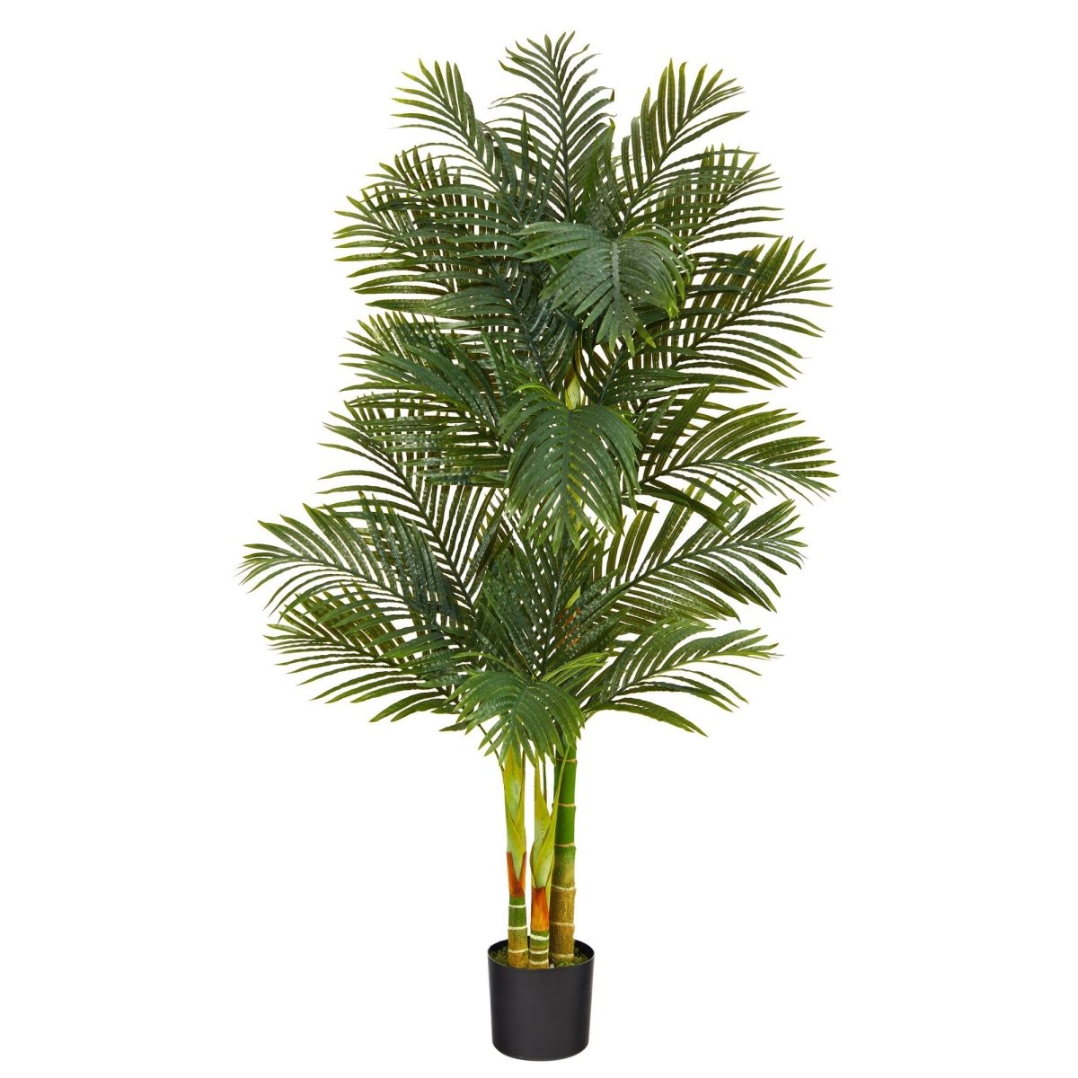 6' Triple Stalk Golden Cane Artificial Palm Tree | Lifelike Tropical Decor