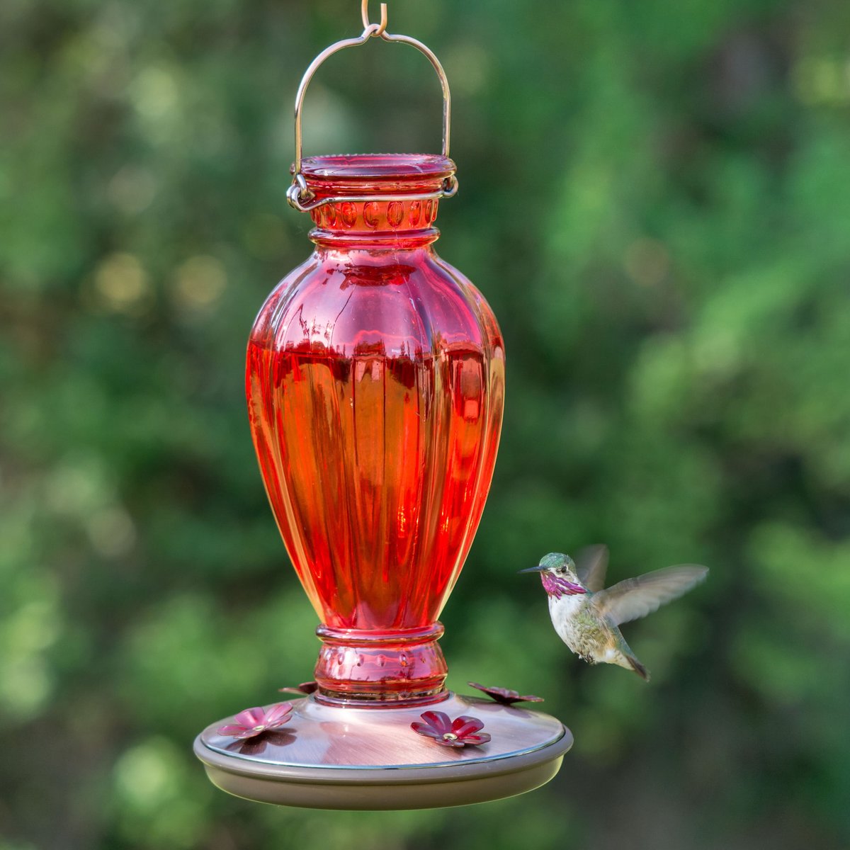 Perky-Pet Daisy Vase Vintage Glass Hummingbird Feeder