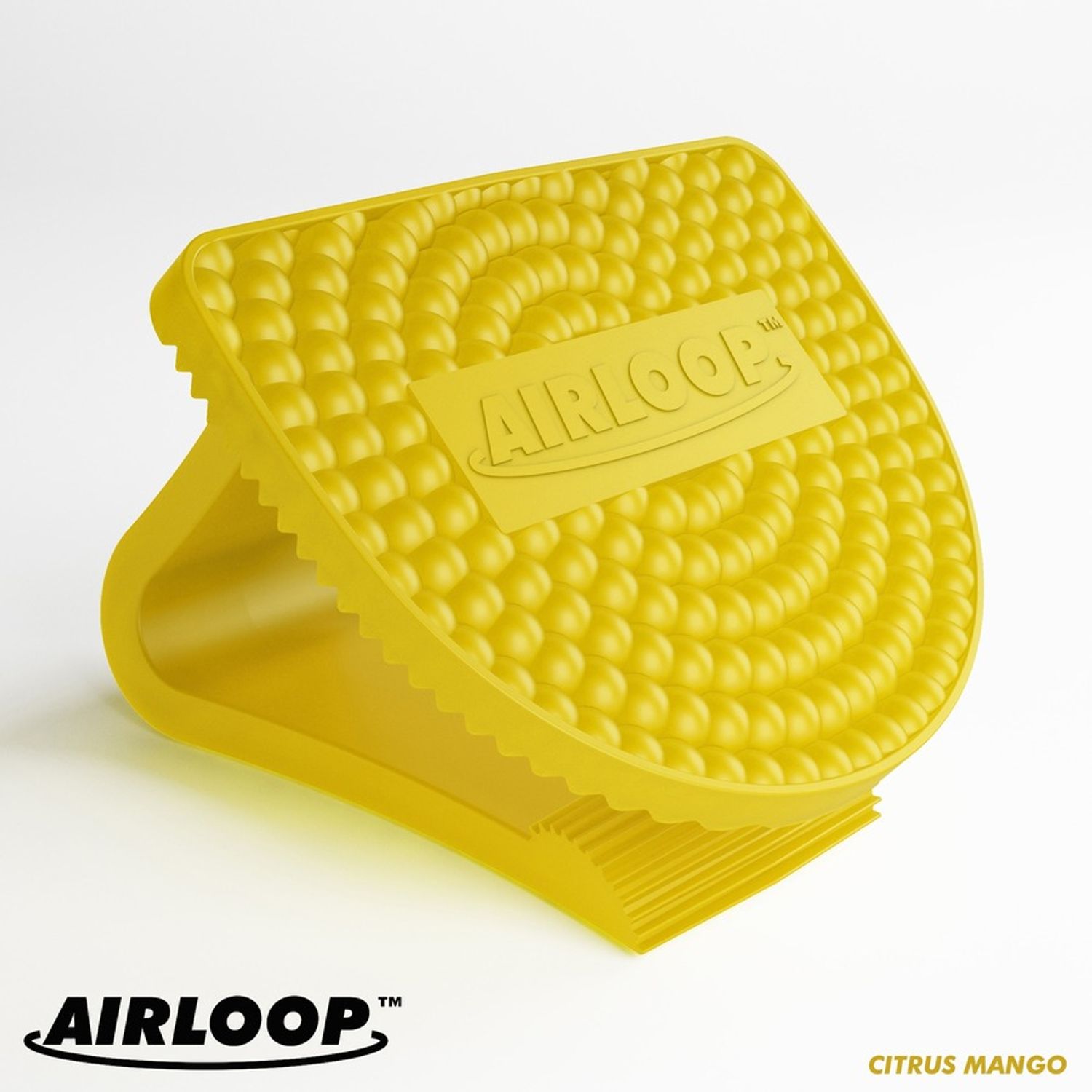 Airloop Toilet Bowl Clip Air Freshener by Vectair Systems Ltd VTSLOOPCIT