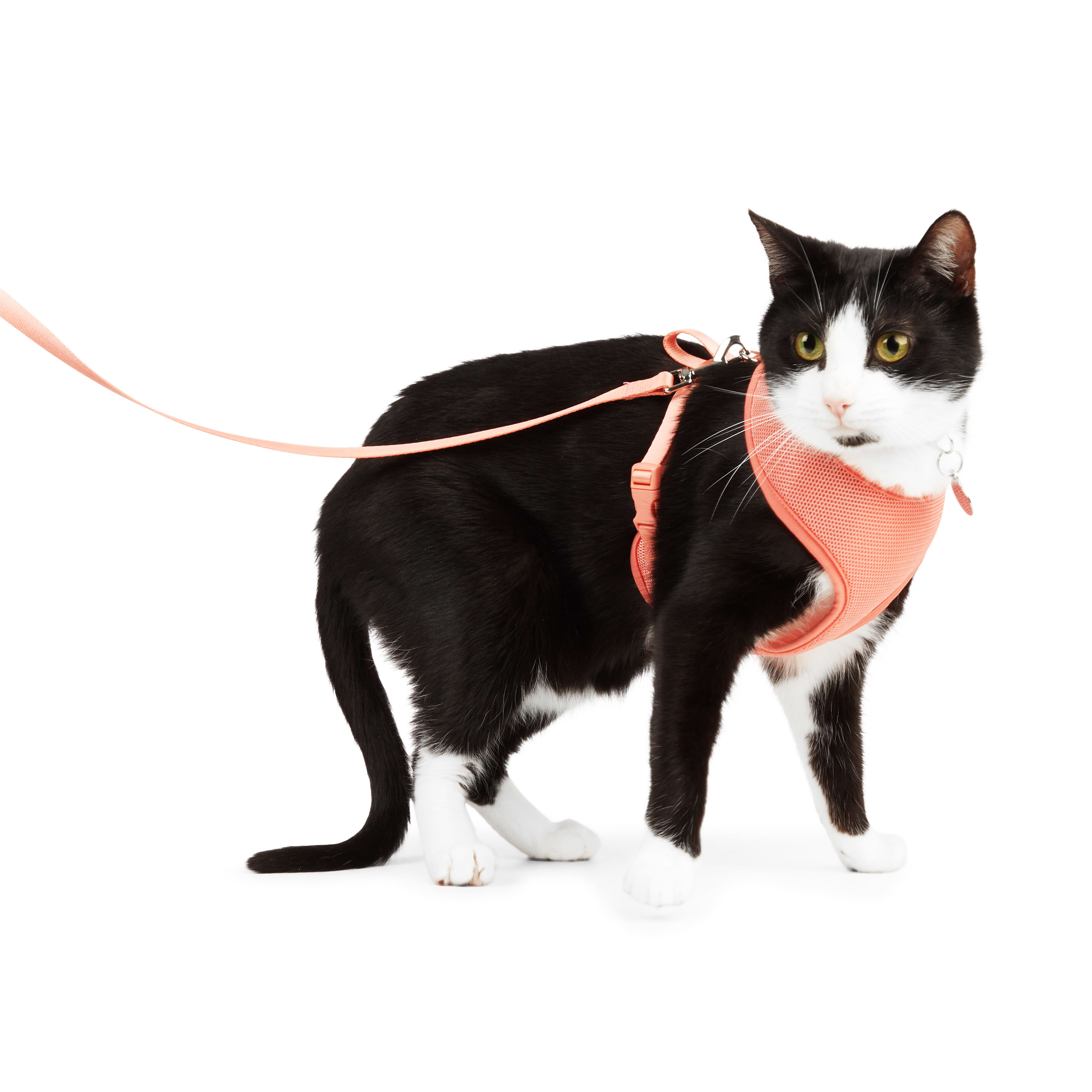 YOULY Coral Mesh Cat Harness Set， Large/X-Large