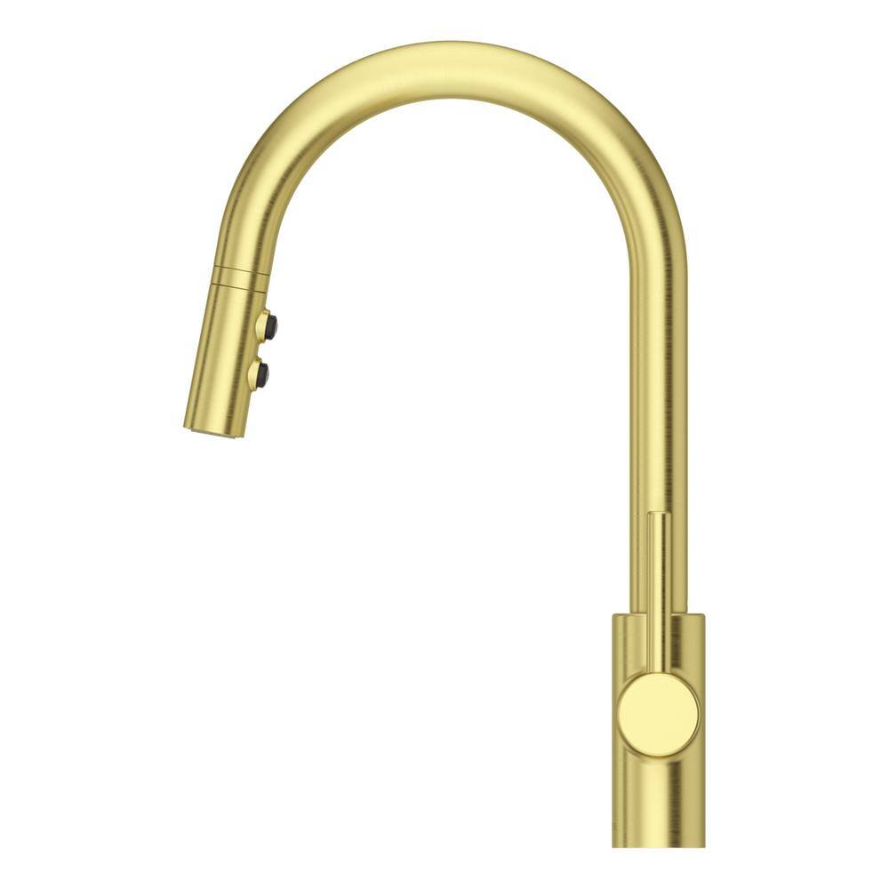 Pfister Stellen Single-Handle Pull-Down Sprayer Kitchen Faucet in Brushed Gold LG529-SABG